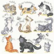 Meow !