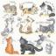 Meow !