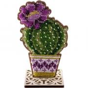 Cactus rond