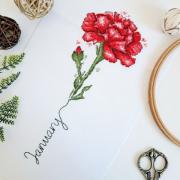 January - Carnation