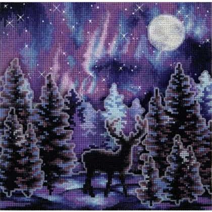 Starry night