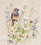 The Bluethroat