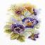 Summer Flowers