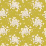 White Flower Sour Yellow