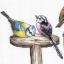 Fourches et plumes