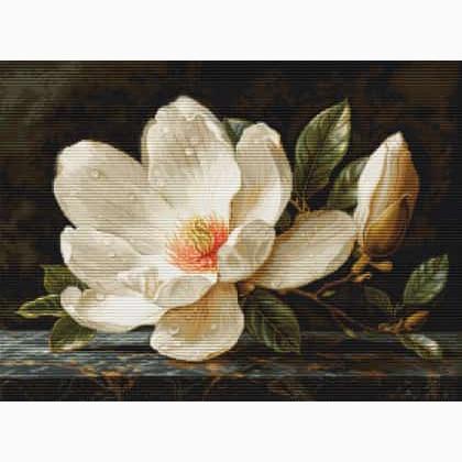 The Magnolia Dew