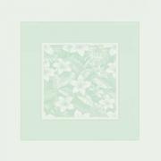 Nappe - Tropical - Vert