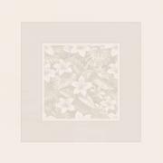 Nappe - Tropical - Ivoire