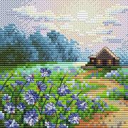 Landscape with chicory