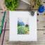 Landscape with chicory