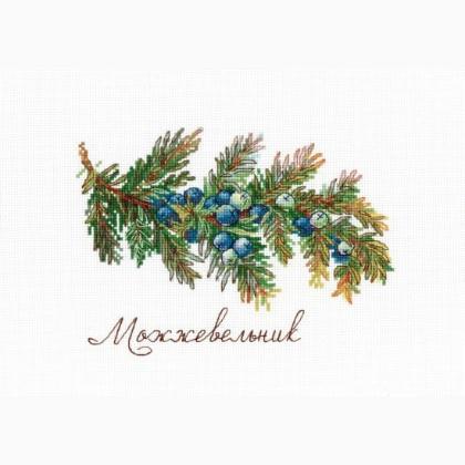 Gifts of Nature - Juniper