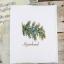 Gifts of Nature - Juniper