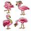 Flamands (4)