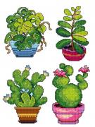 Plantes en pot (4)