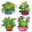 Plantes en pot (4)