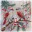 Gazouillis d'hiver