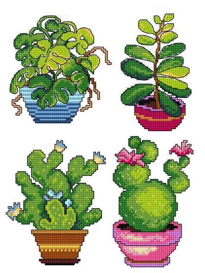 Plantes en pot (4)