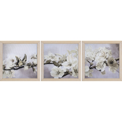 Jardin fleuri