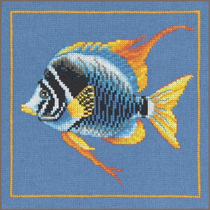 Poisson zèbre de feu