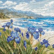 Blue Harmony