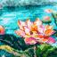 Blooming Lotuses