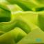 PUL ProSoft FoodSAFE® - 1mil - Vert Pomme