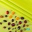 PUL ProSoft FoodSAFE® - 1mil - Vert Pomme