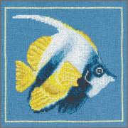 Poisson ange jaune