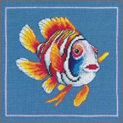 Poisson némo joyeux