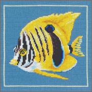 Poisson zèbre jaune