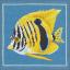Poisson zèbre jaune