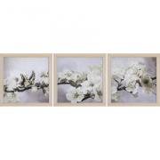Jardin fleuri