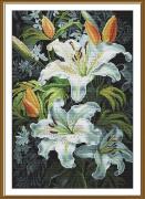 Lys royaux