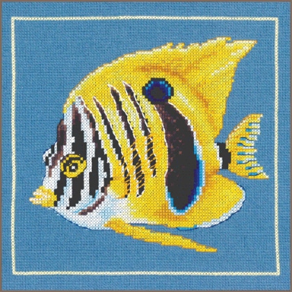 Poisson zèbre jaune