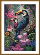 Beautés tropicales