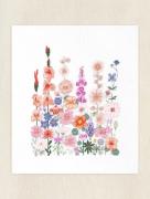 Fleurs grimpantes