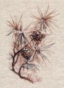 Pine branch (Inna Petrashkevich)