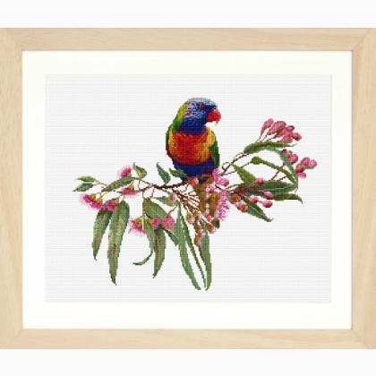 Parrot in Bloom - Lin