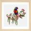 Parrot in Bloom - Lin
