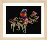 Parrot in Bloom - Noir - Aida