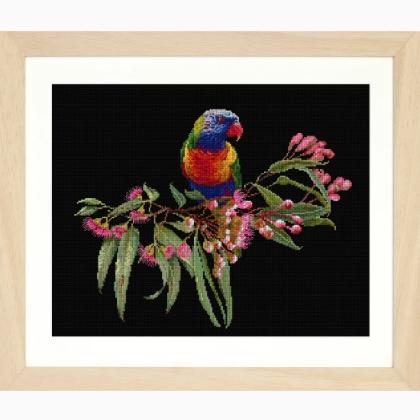 Parrot in Bloom - Noir - Aida