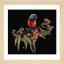 Parrot in Bloom - Noir - Aida