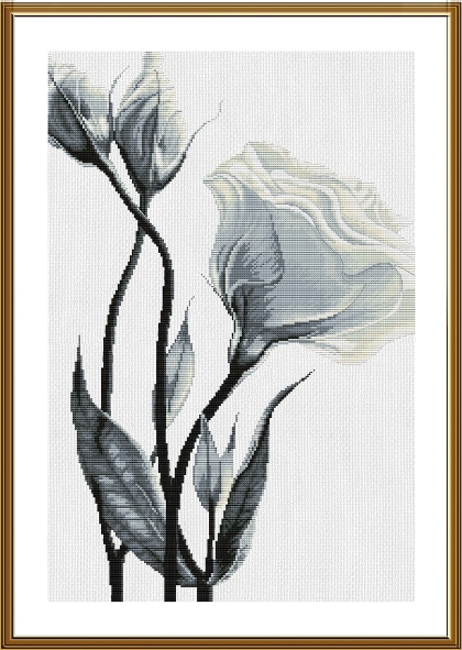 Fleurs blanches de l\'amour