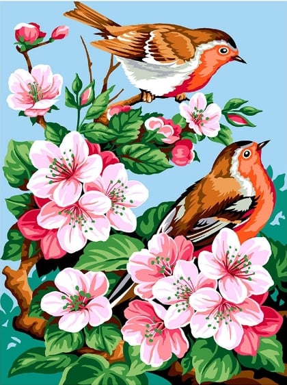 Fleurs de cerisiers