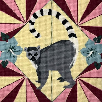 Lemur - Coloris vibrant
