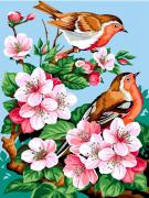 Fleurs de cerisiers