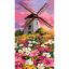 Le moulin aux fleurs