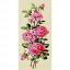 Les roses roses