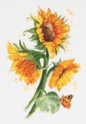 Tournesols brillants