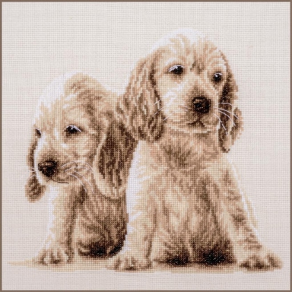 2 Chiens
